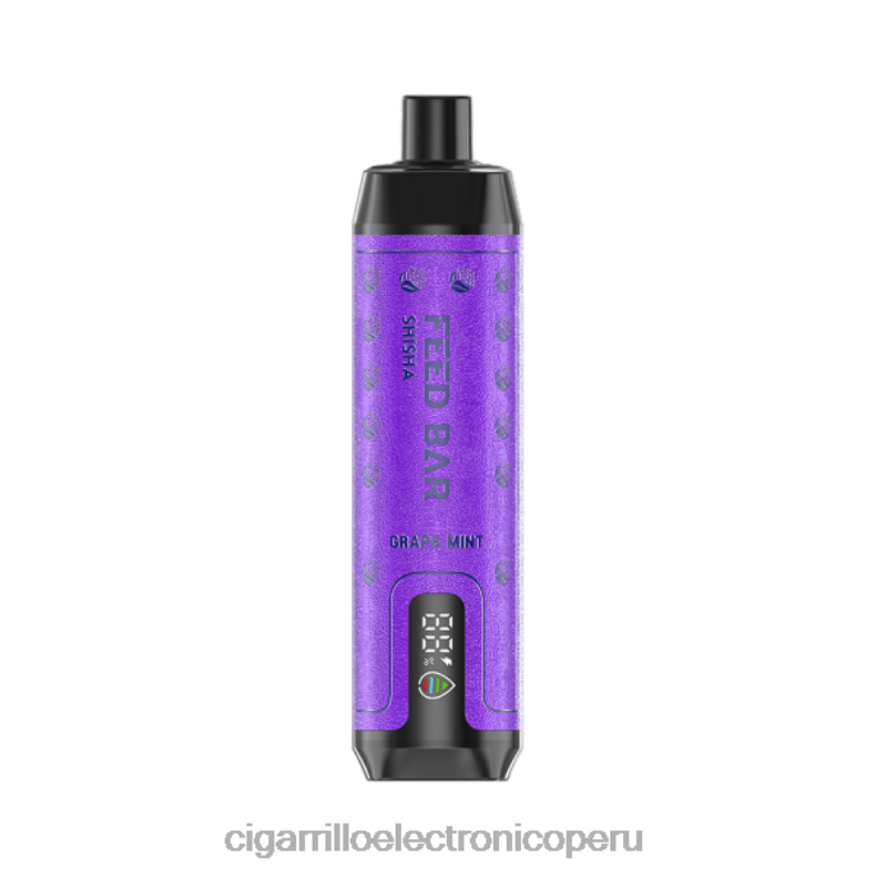 Vapeo Al Por Mayor - Vapsolo SHISHA vaporizador desechable menta de uva 0ND28100